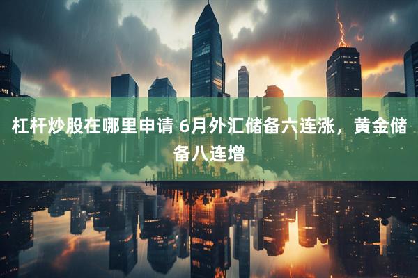 杠杆炒股在哪里申请 6月外汇储备六连涨，黄金储备八连增