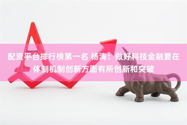 配资平台排行榜第一名 杨涛：做好科技金融要在体制机制创新方面有所创新和突破