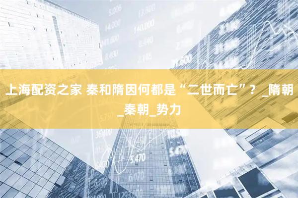上海配资之家 秦和隋因何都是“二世而亡”？_隋朝_秦朝_势力