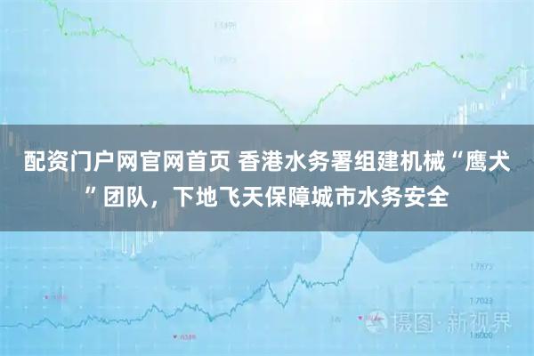 配资门户网官网首页 香港水务署组建机械“鹰犬”团队，下地飞天保障城市水务安全